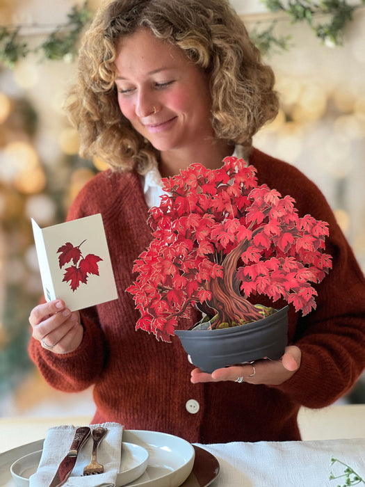 FreshCut Paper | Red Maple Tree