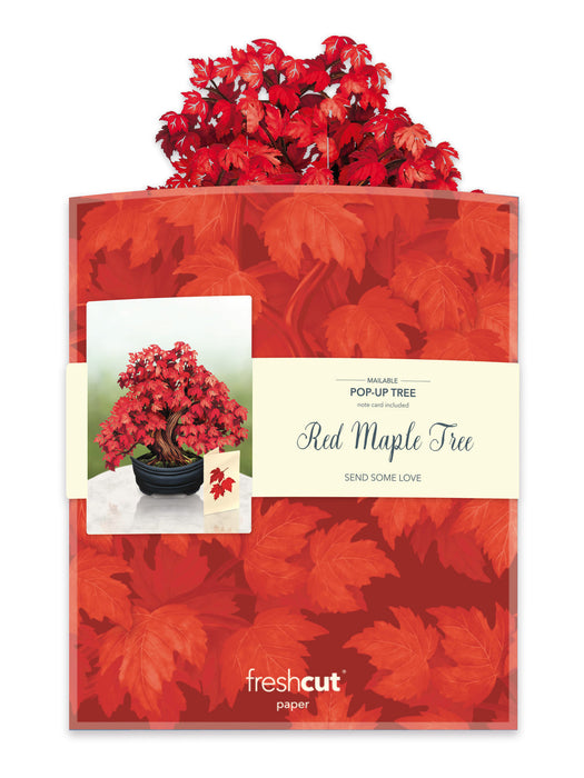 FreshCut Paper | Red Maple Tree