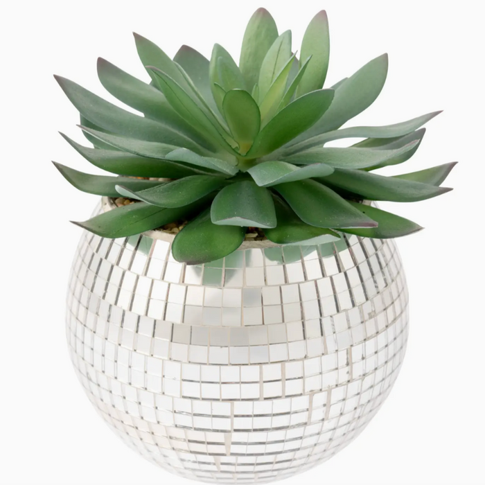 Disco Succulent Pot