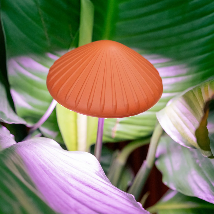 Mushroom Grow Light