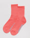 Baggu Ribbed Socks - LOCAL FIXTURE