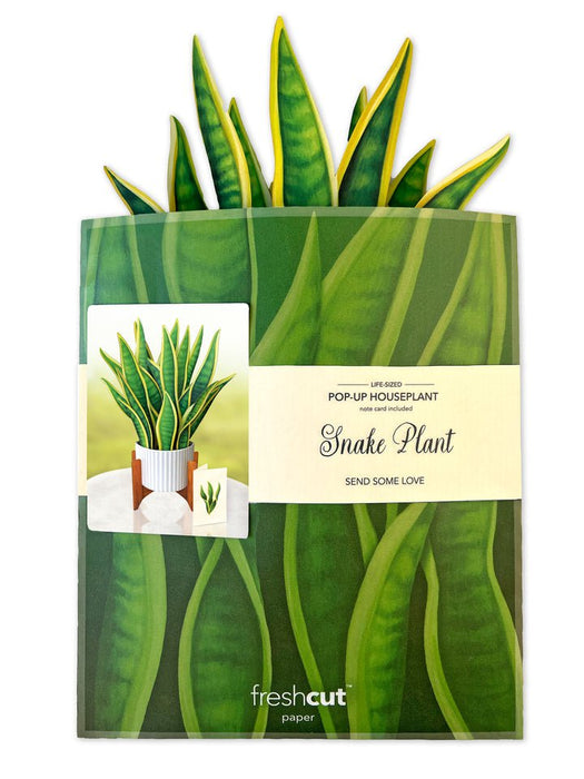 FRESHCUT PAPER Greeting & Note Cards FreshCut Paper | Snake Plant