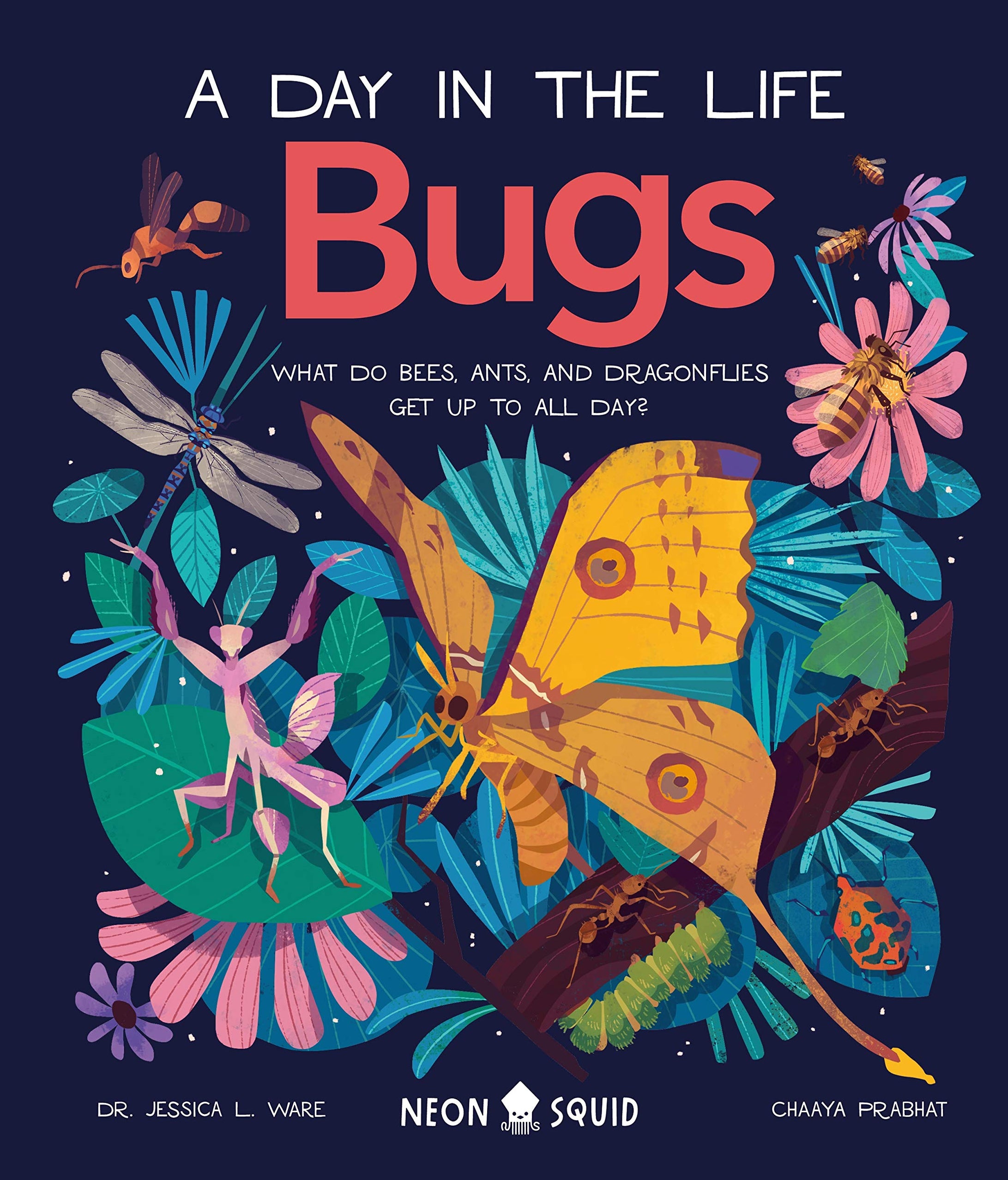 Bugs (A Day in the Life): What Do Bees, Ants, and Dragonflies Get up to ...