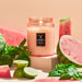 VOLUSPA CANDLE Kalahari Watermelon | Large Jar Candle